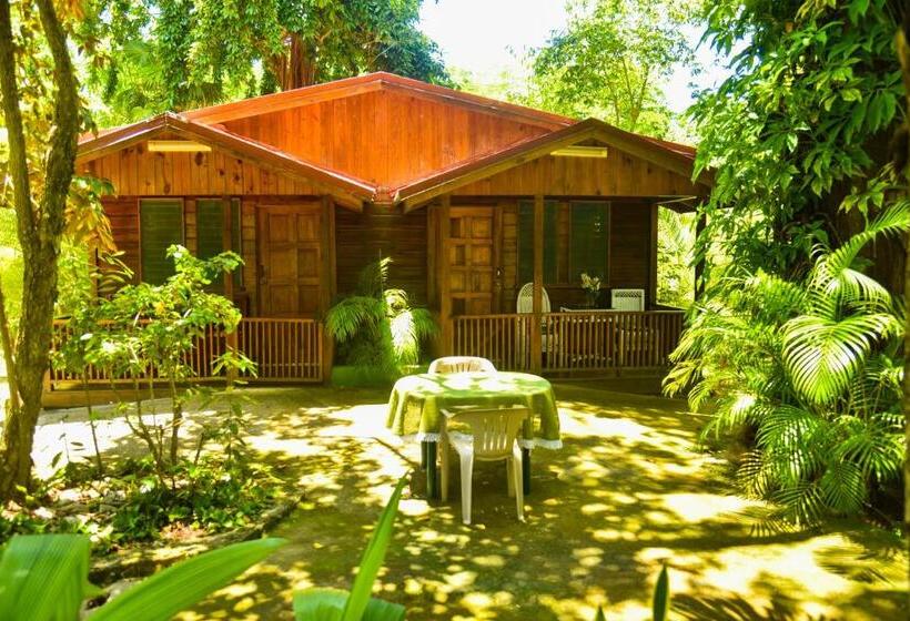 استودیوی لوکس, Lighthouse Inn 2