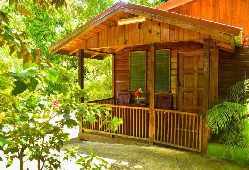 استودیوی لوکس, Lighthouse Inn 2