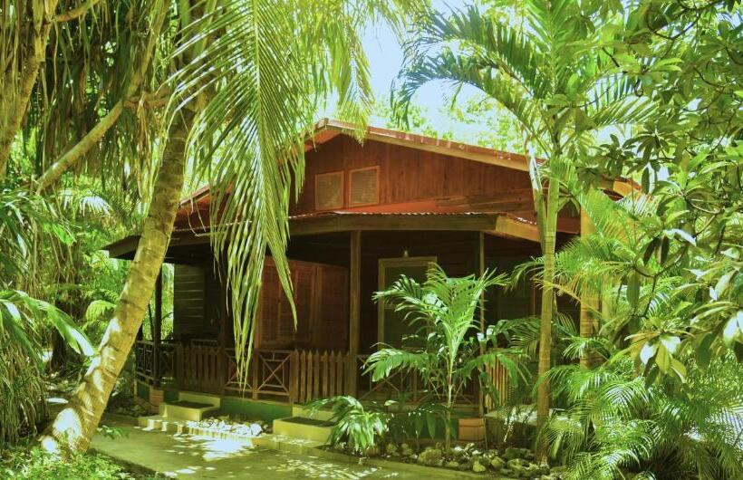 آپارتمان لوکس 1 خوابه, Lighthouse Inn 2