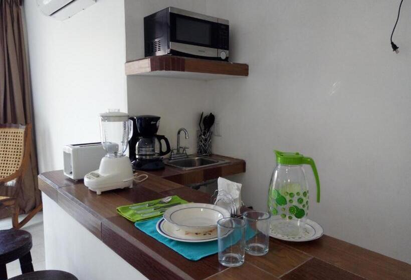 Студия Superior, Mary Carmen