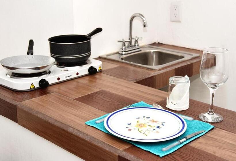 Студия Superior, Mary Carmen