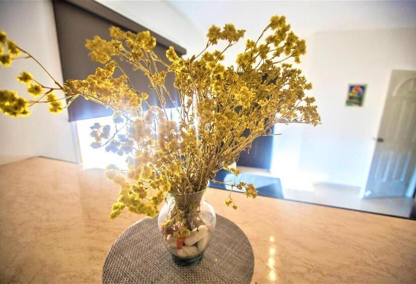 סוויטת סופריור, Plaza Mirador