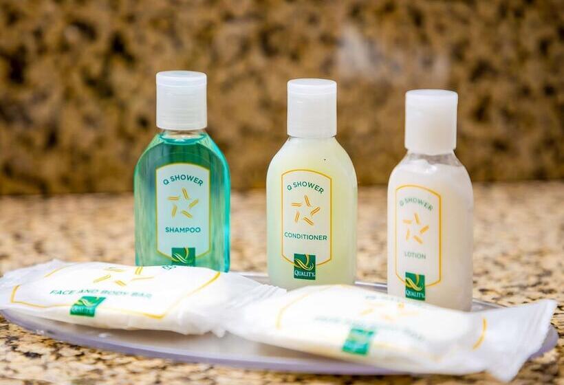 غرفه قياسيه سريرين مزدوجين, Quality Inn Richmond Hill  Savannah I95