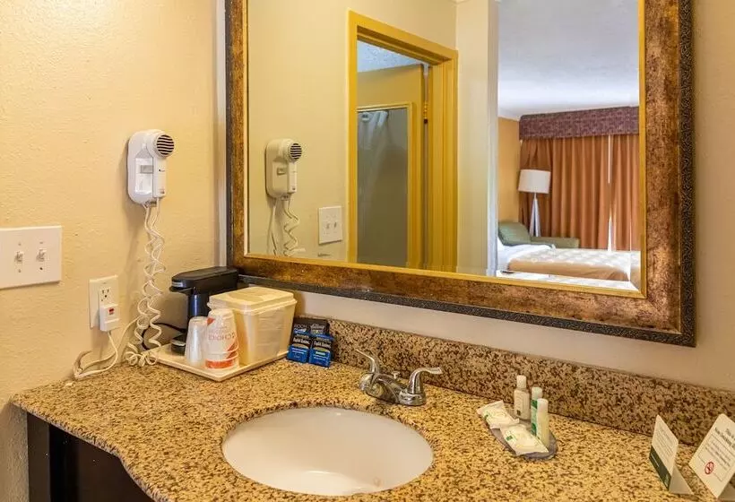 ２ダブルベッドのスタンダードルーム, Quality Inn Richmond Hill  Savannah I95