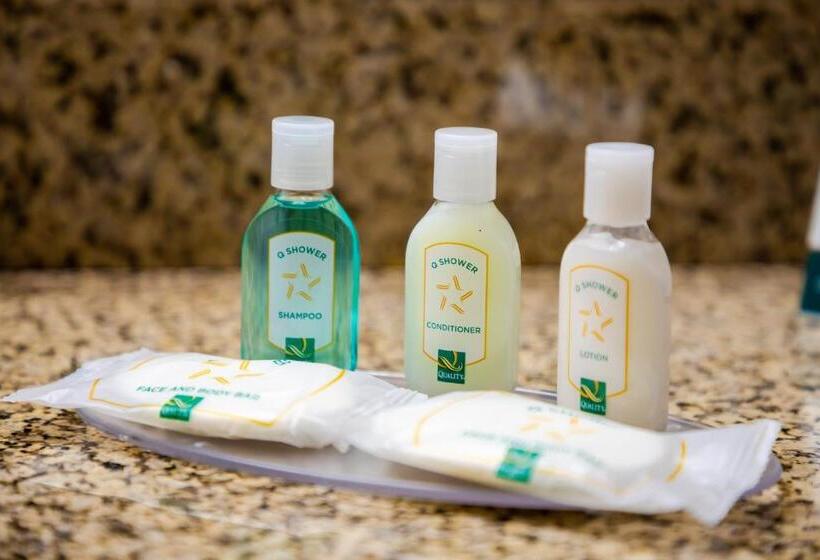 غرفه قياسيه سريرين مزدوجين, Quality Inn Richmond Hill  Savannah I95