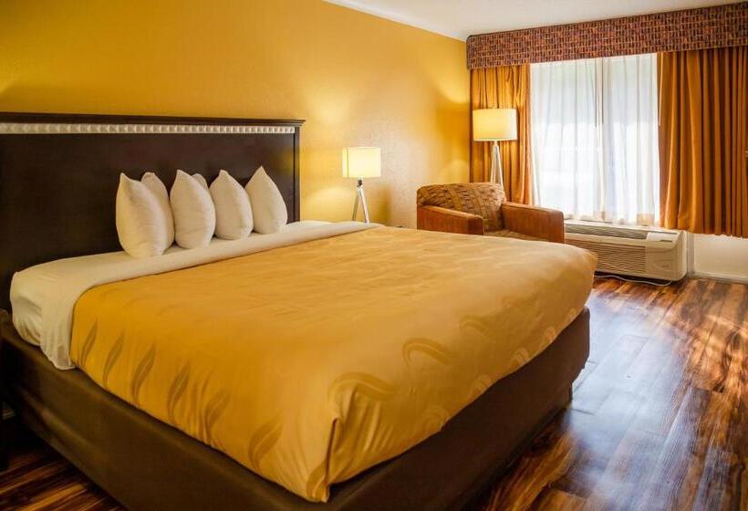 غرفة قياسية سرير كينج, Quality Inn Richmond Hill  Savannah I95