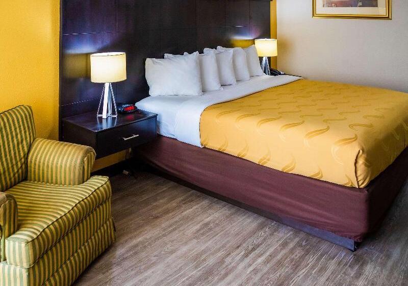스탠다드 룸 킹사이즈 침대, Quality Inn Richmond Hill  Savannah I95