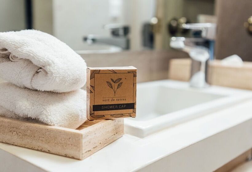 标准间, Voco Royalty Puebla Downtown