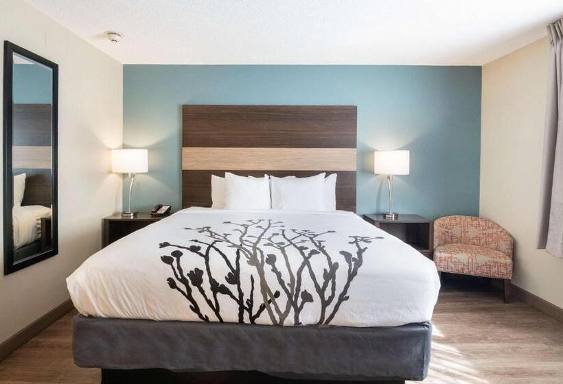 キングサイズベッドのスイートルーム, Sleep Inn & Suites Columbus Next To Fort Moore