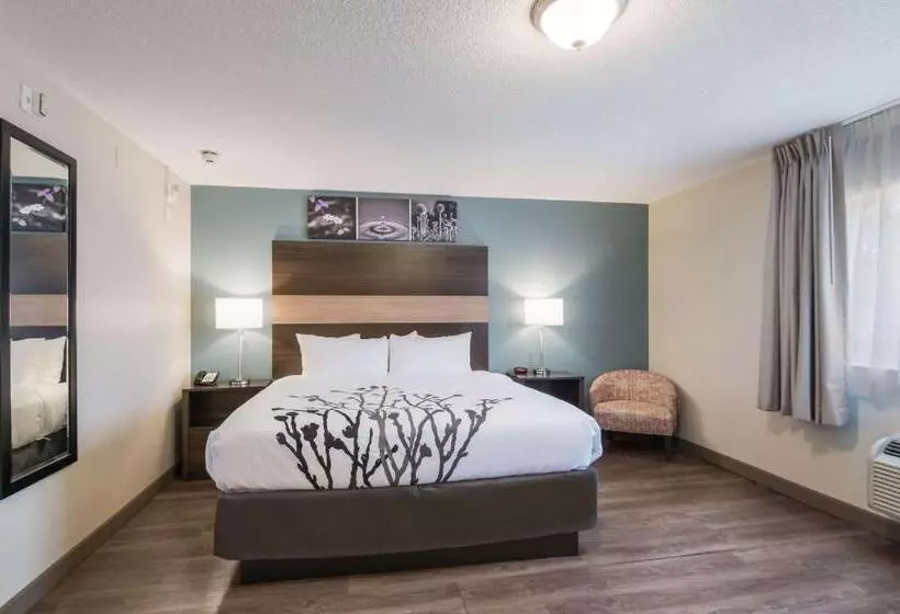 身障者適用スイートルーム, Sleep Inn & Suites Columbus Next To Fort Moore