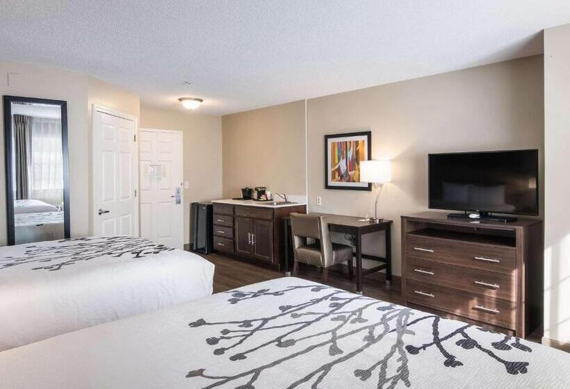 身障者適用スタンダードルーム, Sleep Inn & Suites Columbus Next To Fort Moore