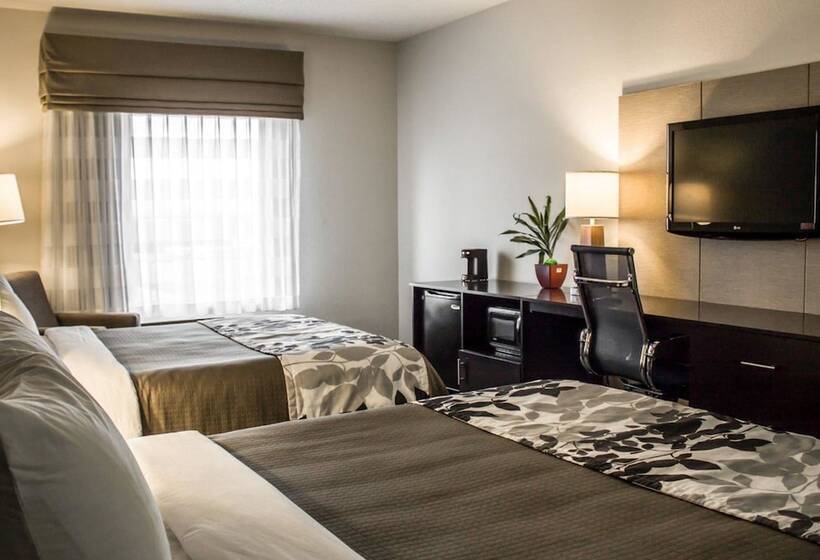 غرفه قياسيه سريرين مزدوجين, Sleep Inn & Suites
