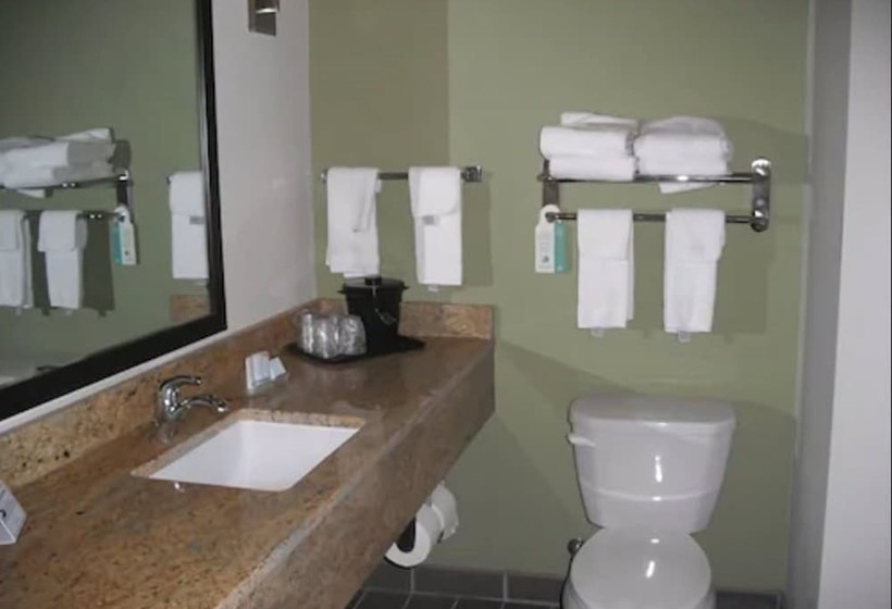 غرفه قياسيه سريرين مزدوجين, Sleep Inn & Suites