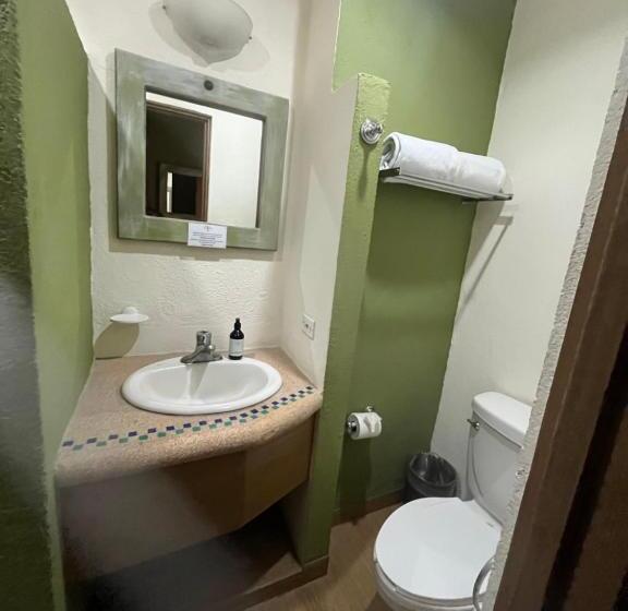 带大床的标准间, Marisol Hotel Boutique