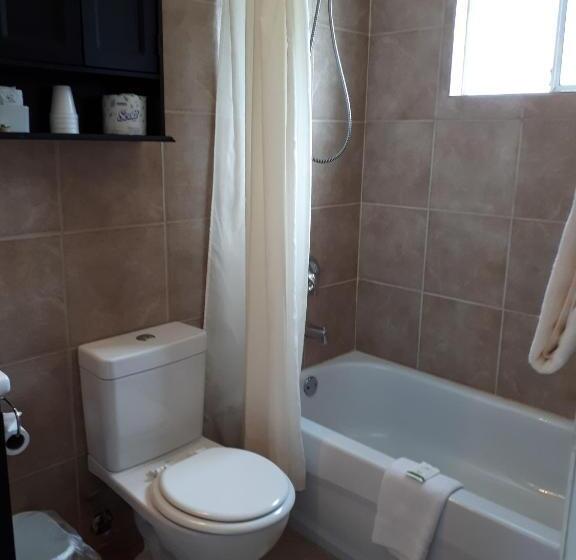 クイーンサイズベッドのスタンダードルーム, Park Motel