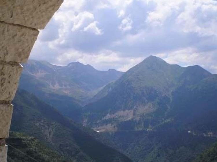 标准间, Petradi1873