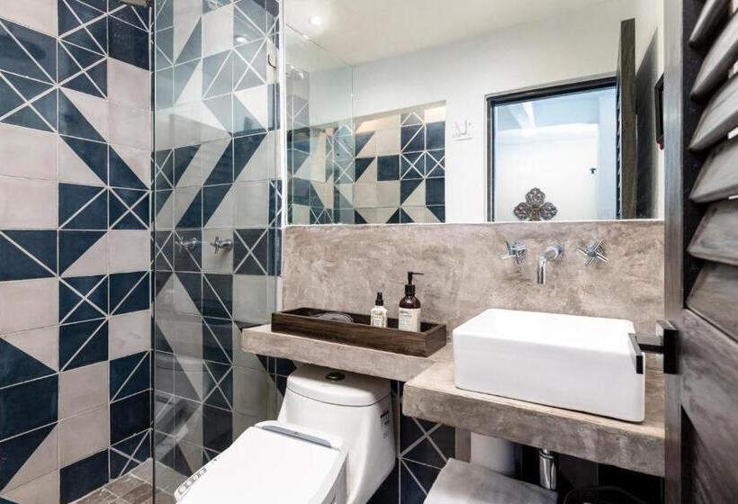 דירת חדר בקומת קרקע, Cuale