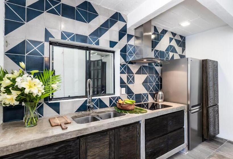 דירת חדר בקומת קרקע, Cuale