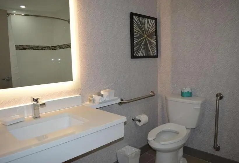 身障者適用キングサイズベッドルーム, Best Western Premier Route 97 Vernon