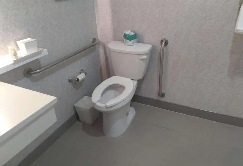 身障者適用キングサイズベッドルーム, Best Western Premier Route 97 Vernon