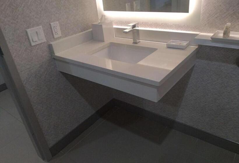 适合残疾人士使用的带超级大床的标准间, Best Western Premier Route 97 Vernon