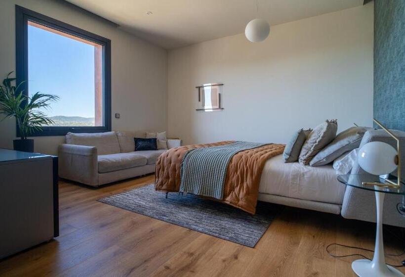 اتاق استاندارد, Es Desconecta2