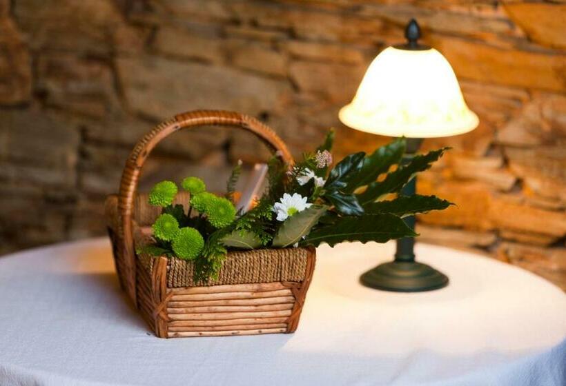 غرفة قياسية, Finca Goleta