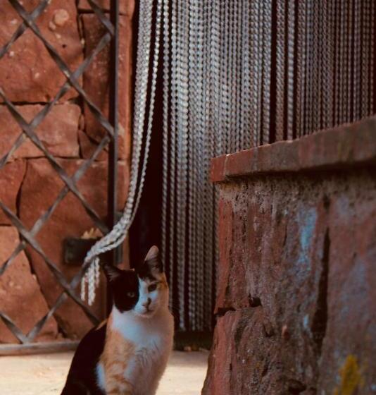 一居室高级别墅, Xalet De Prades