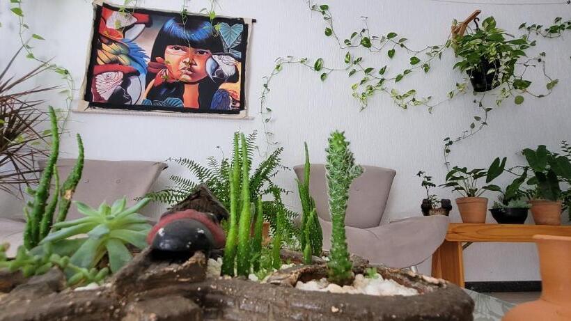 발코니 디럭스 룸, Pousada Casa Da Vovó   Sua Casa Pertinho Da Praia