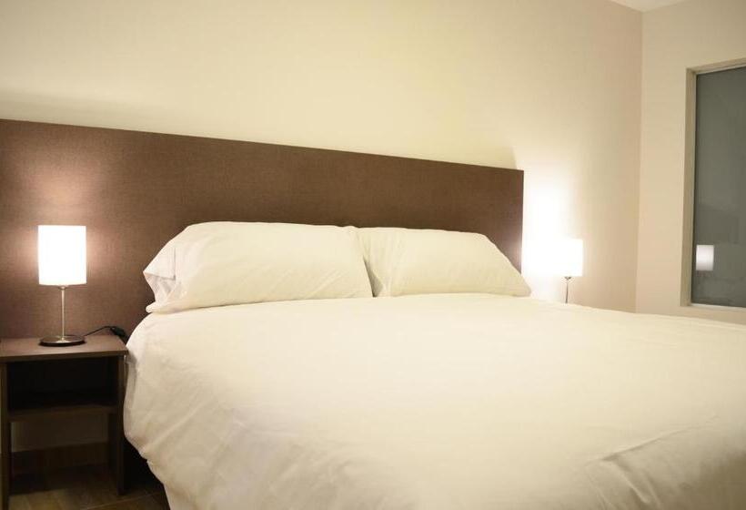 غرفة ديلوكس رباعية, Bait