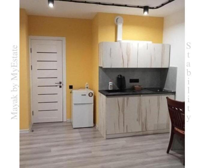 آپارتمان 1 خوابه با تراس, Aparthotel Mayak Yablunytsia