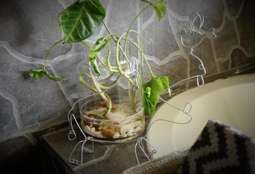 חדר סטנדרט, Ngalali Retreat