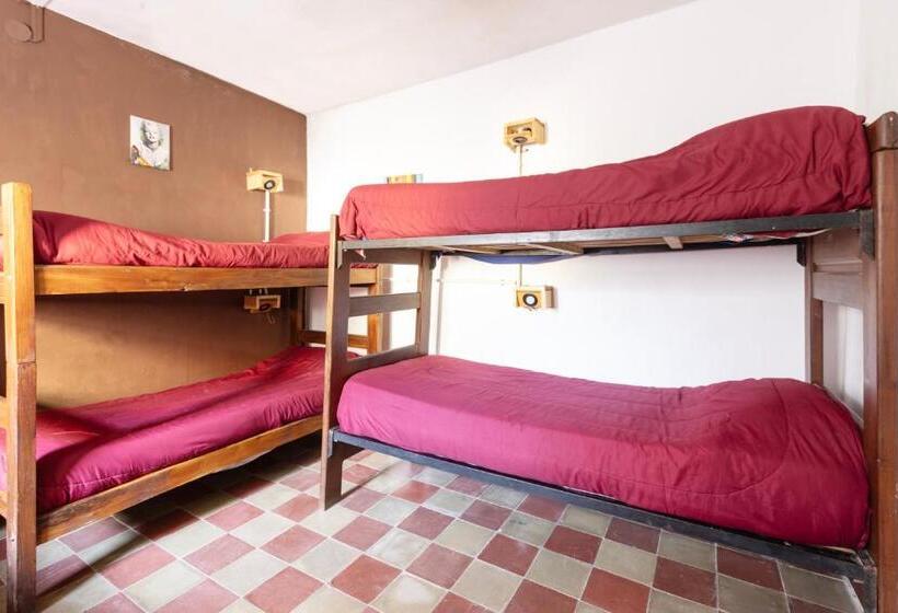 تختخواب در اتاق مشترک, Puerta Azul Hostel