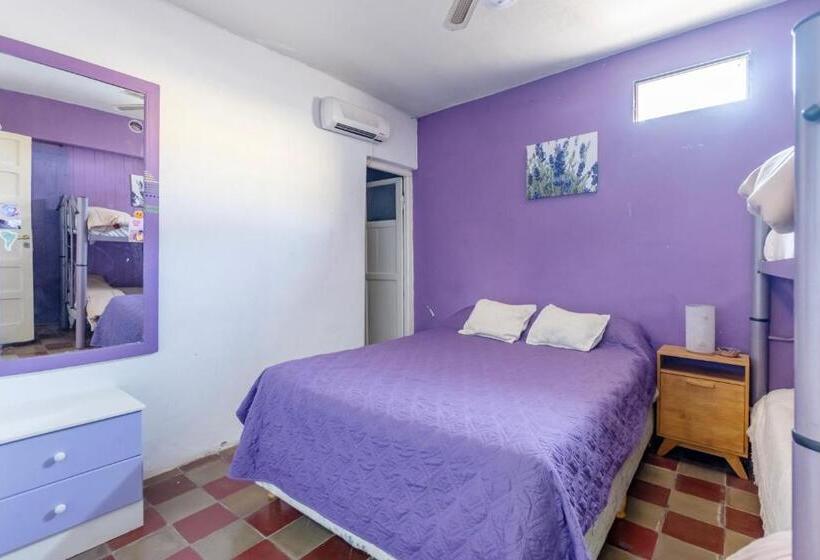 اتاق استاندارد چهار تخته, Puerta Azul Hostel