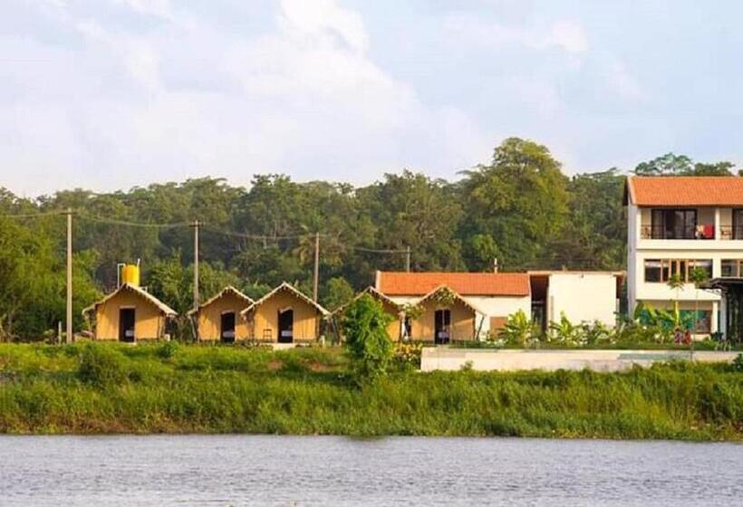 Standard Tent, Starling River Resort Dandeli