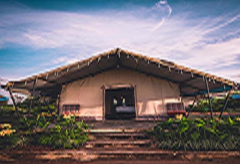 Standard Tent, Starling River Resort Dandeli