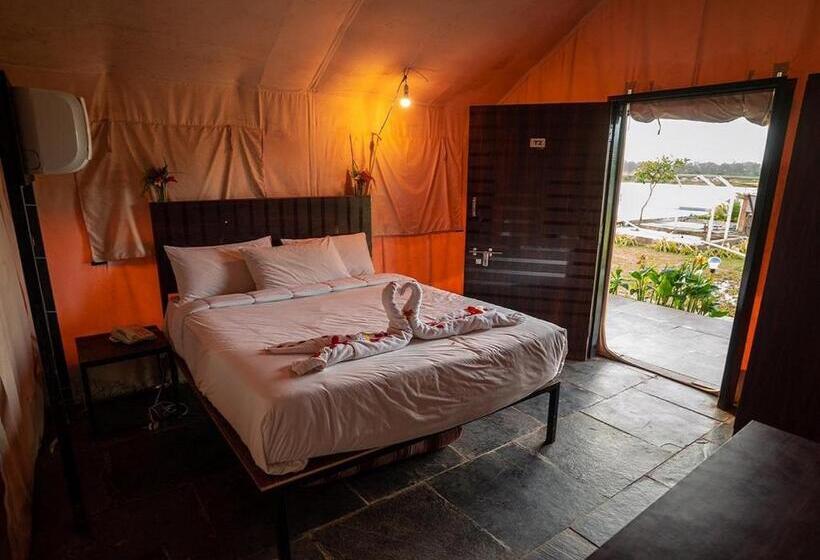Standard Tent, Starling River Resort Dandeli