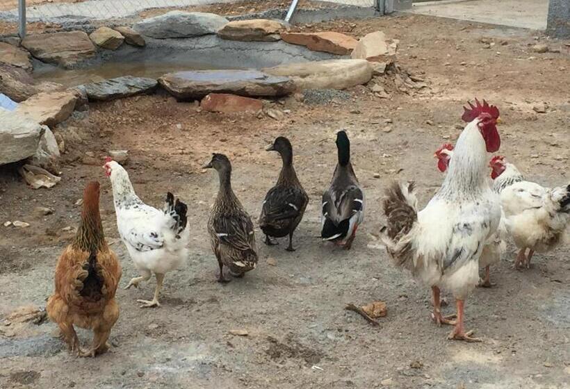 בית, חדר שינה 1, Reul Alto Cortijos Rurales