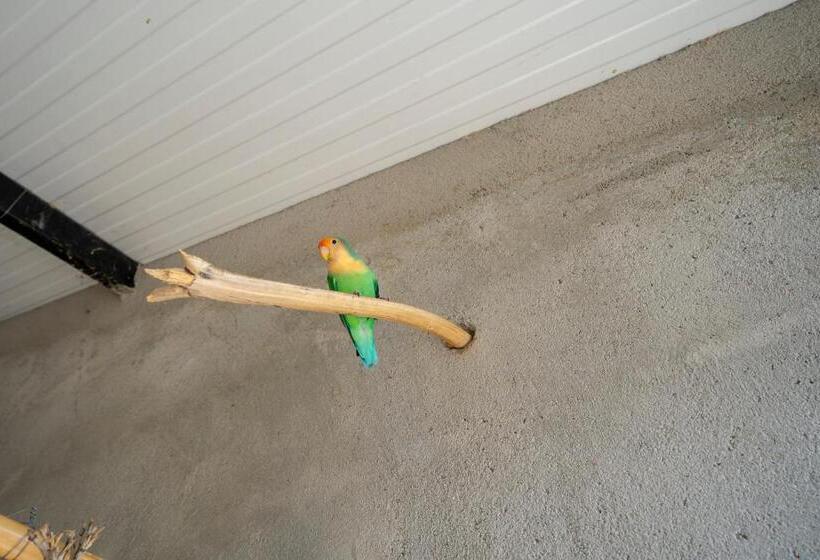 וילה בת 2 חדרי שינה, Reul Alto Cortijos Rurales