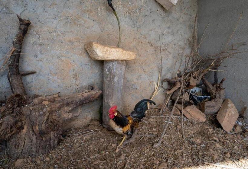 منزل 3 غرف نوم, Reul Alto Cortijos Rurales