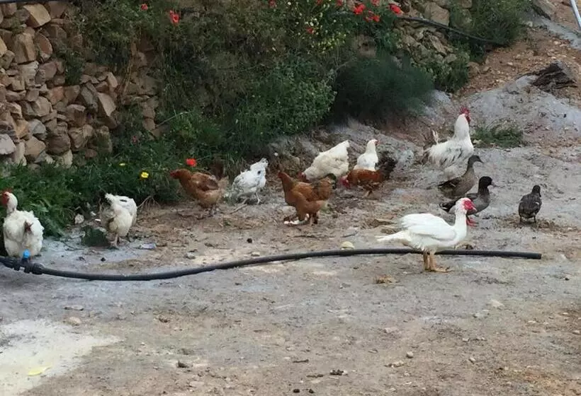 خانه 3 خوابه, Reul Alto Cortijos Rurales