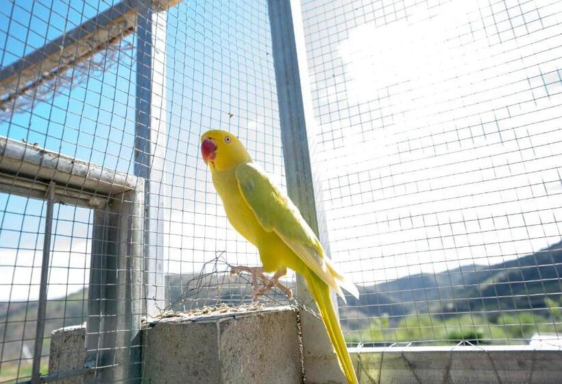 בית, חדר שינה 1, Reul Alto Cortijos Rurales