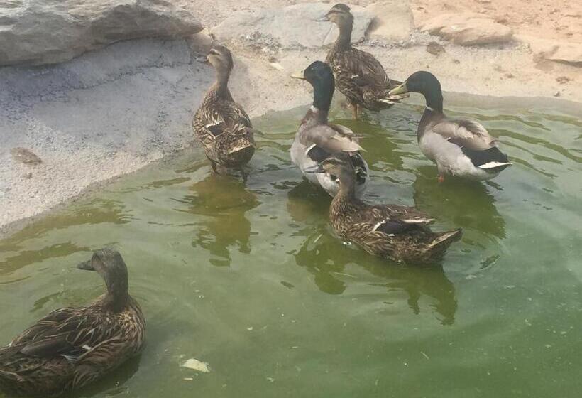 בית, 3 חדרי שינה, Reul Alto Cortijos Rurales