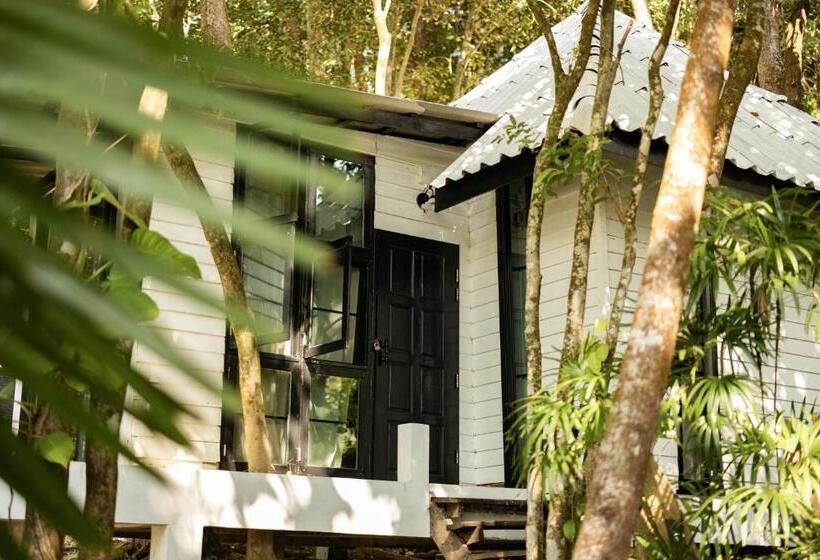 수피리어 룸, Barefoot Project Formerly Baan Klong Kleng