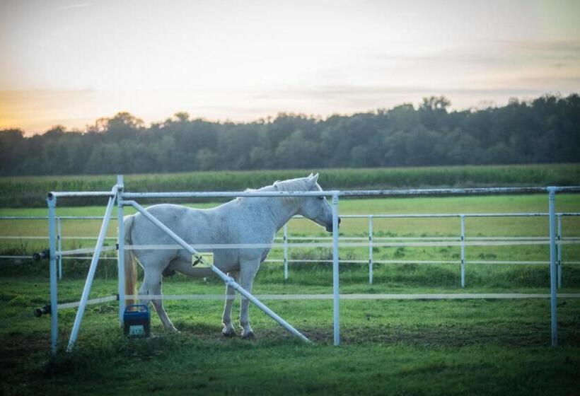 带1个卧室的公寓, Agriturismo Beatilla