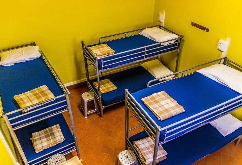 共用房间的床, Hostel Santa Monaca