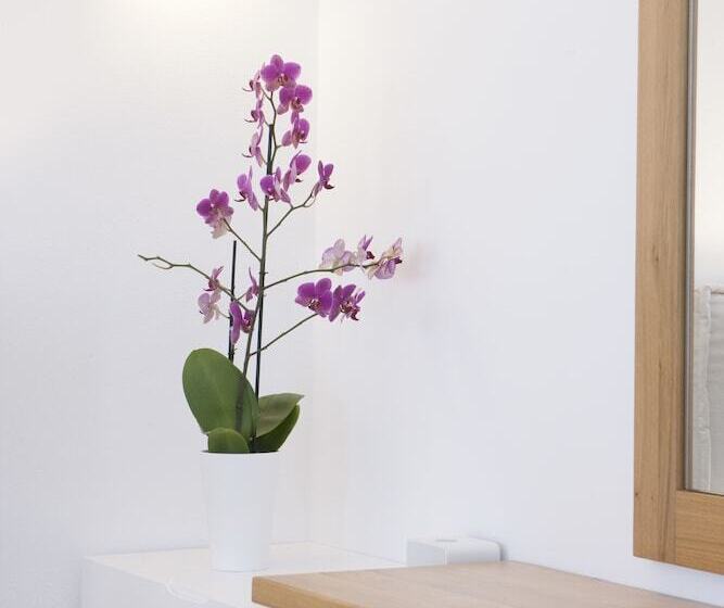 اتاق استاندارد, Anteliz Suites