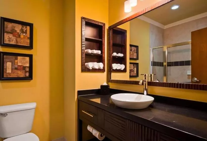 キングサイズベッドのスタンダードルーム, Best Western Plus Christopher Inn And Suites