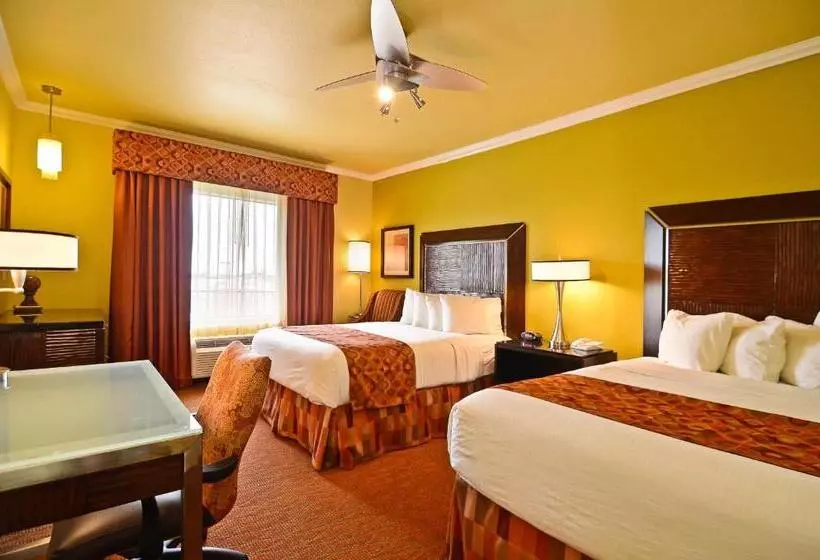 身障者適用スタンダードルーム, Best Western Plus Christopher Inn And Suites
