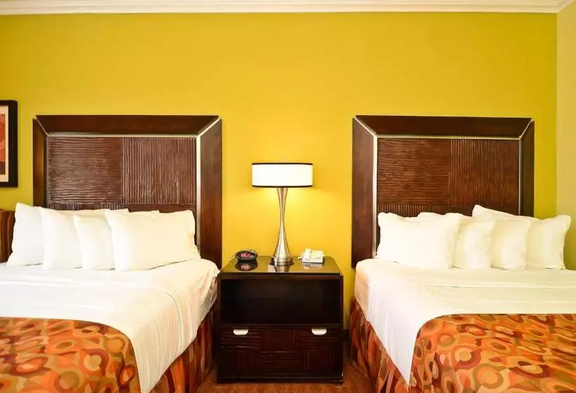 スタンダードルーム, Best Western Plus Christopher Inn And Suites